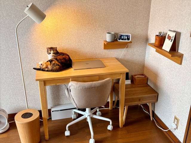 猫はデスクに乗る