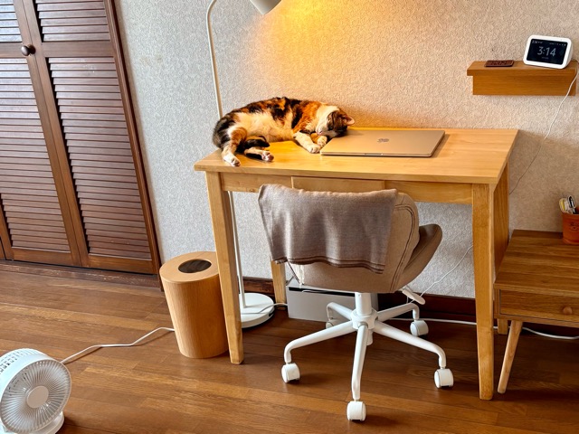 私の居場所